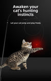 LED Telescopic Pole Cat Teaser Stick