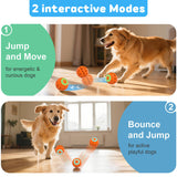 Pet Electric Bouncing Ball