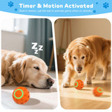 Pet Electric Bouncing Ball