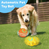 Pet Electric Bouncing Ball
