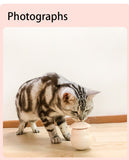 Pet Toy Cat Laser Toy and Tumbler Base