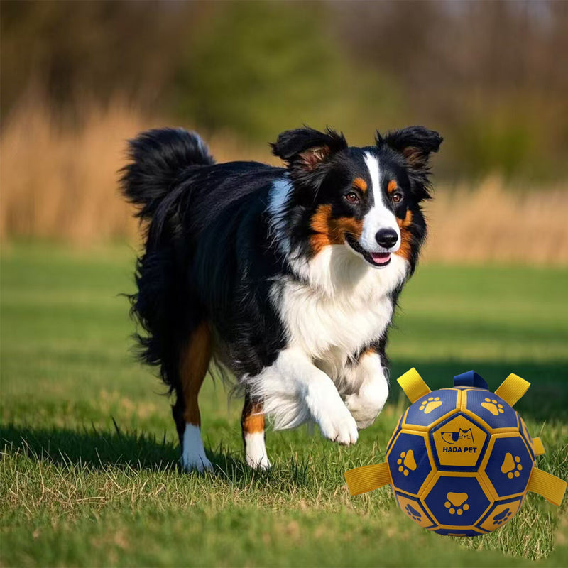 Dog Toy with Rope Little Yellow Duck Plush Interactive Tennis, Suitable for Tug-of-War