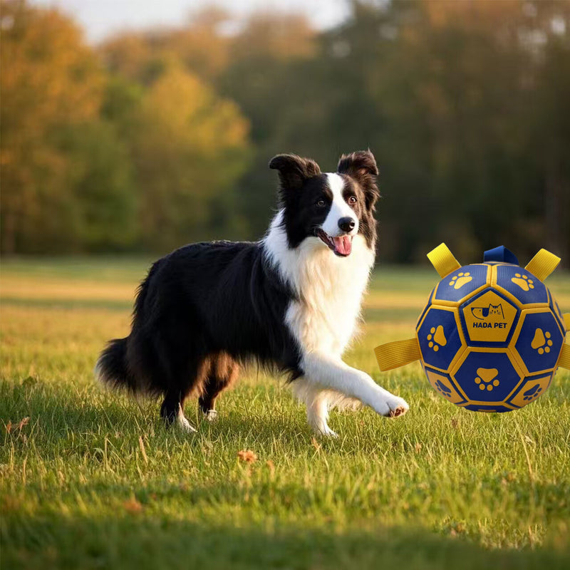 Dog Toy with Rope Little Yellow Duck Plush Interactive Tennis, Suitable for Tug-of-War