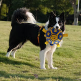 Dog Toy with Rope Little Yellow Duck Plush Interactive Tennis, Suitable for Tug-of-War