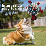 Pet Products Interactive Dog Soccer Tug-of-War Toy