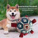 Pet Products Interactive Dog Soccer Tug-of-War Toy
