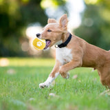 3-pack - Interactive Elastic Balls Dog Toy