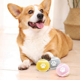 3-pack - Interactive Elastic Balls Dog Toy
