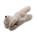 Puppy Warm Toy Bear Dog Heat Pack Comfort Plush Soft Toys