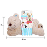 Puppy Warm Toy Bear Dog Heat Pack Comfort Plush Soft Toys