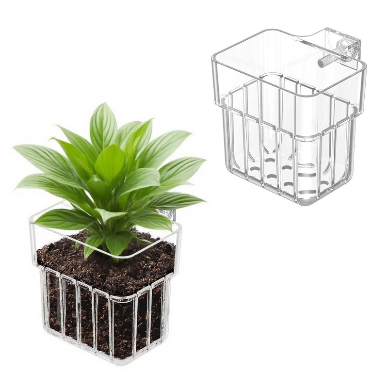 2pc Aquarium Plant Holder Clear Hanging Aquatic Planters with Hooks