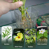 2pc Aquarium Plant Holder Clear Hanging Aquatic Planters with Hooks