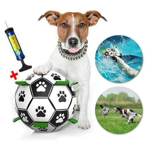 Dog Toy Ball
