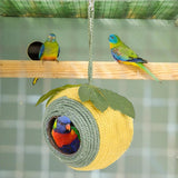 Bird Nest Coconut Shell Hanging Bed White-Green-Screw Model