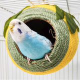 Bird Nest Coconut Shell Hanging Bed White-Green-Screw Model