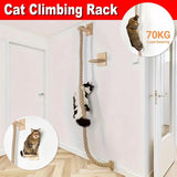 Cat Climbing Rope