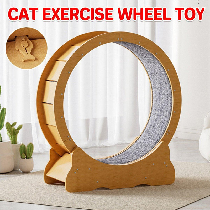 Cat Exercise Wheel Toy