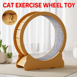 Cat Exercise Wheel Toy