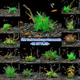 Aquarium Artificial Wood and Plants - Green