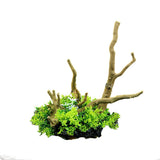 Aquarium Artificial Wood and Plants - Green