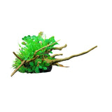 Aquarium Artificial Wood and Plants - Green