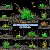 Aquarium Artificial Wood and Plants Decoration - Green