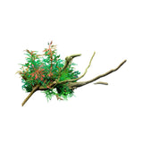 Aquarium Artificial Wood and Plants Fish Decoration - Green