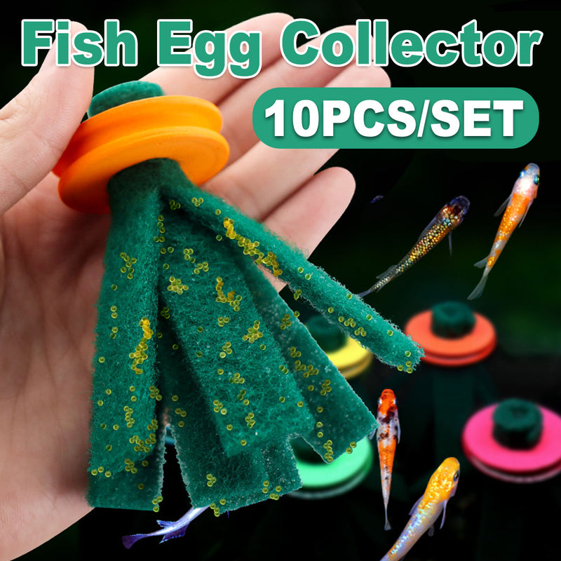 Fish Egg Collector Aquarium Breeding Box - 10PCS