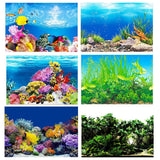 Aquarium Background Fish Tank Wallpaper Double Sided