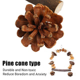 Parrot Chew Toy Pine Cones