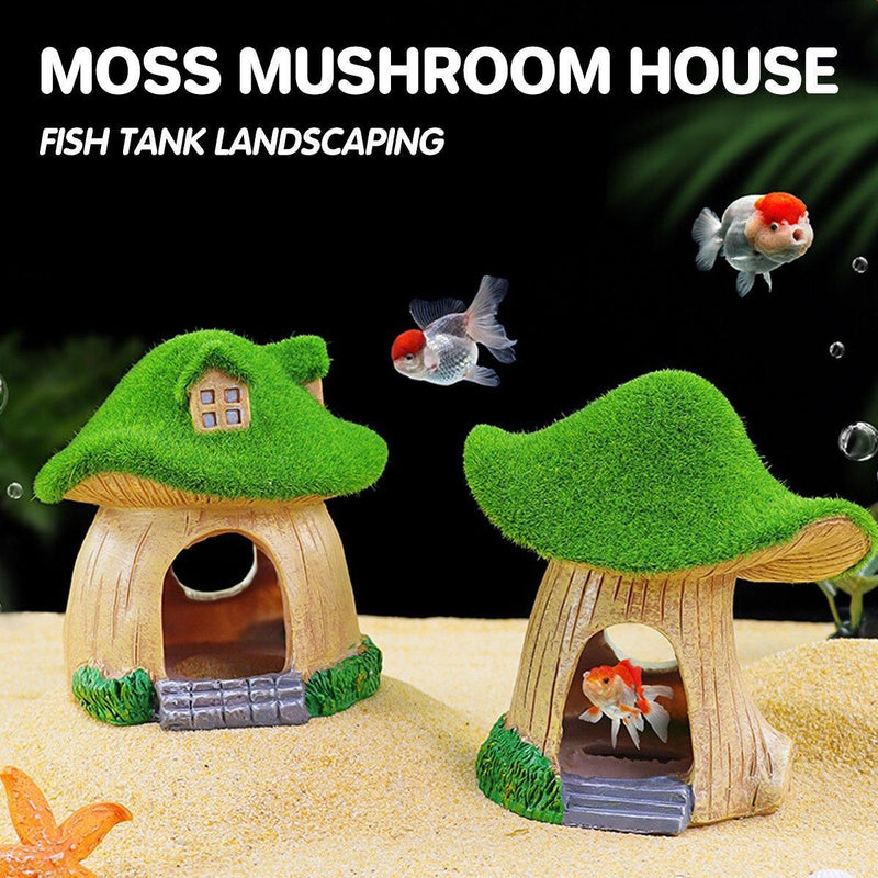 Aquarium Moss Mushroom House