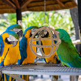 Interactive Parrot Toys Nibbling Balls Hoop Swing