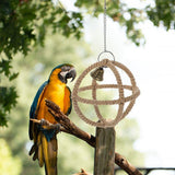 Interactive Parrot Toys Nibbling Balls Hoop Swing