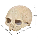 Artificial Fake Skull Aquarium Ornament - Pirate