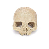 Artificial Fake Skull Aquarium Ornament - Pirate
