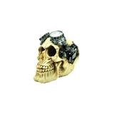 Artificial Fake Skull Aquarium Ornament - Pirate