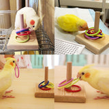 Parrot Chew Toys Interactive Bird Training Rings