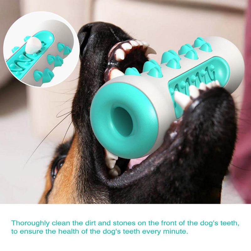 Blue Dog Squeaky Toys for Aggressive Chewers
