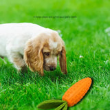 2 PCS Durable Rubber Carrot Dog Toy
