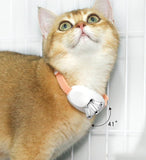 Laser Pointer Collar for Cats – Two Play Modes