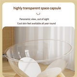 Luxury Transparent Cat Bed