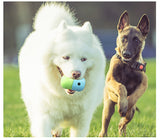 Interactive Pet Treat Dispensing Ball for Dogs