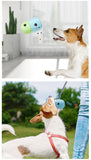 Interactive Pet Treat Dispensing Ball for Dogs