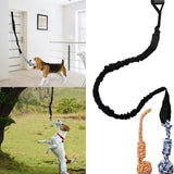 Black And Coloured Cotton Balls Interactive Bungee Dog Tug Toy