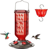 Elegant Hanging Hummingbird Feeder