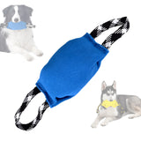 Blue Durable Dog Tug Toy - Interactive Bite Pillow
