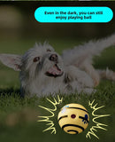 2 Pack Interactive Dog Giggle Ball Toy Wobble Sound Fetch Toy